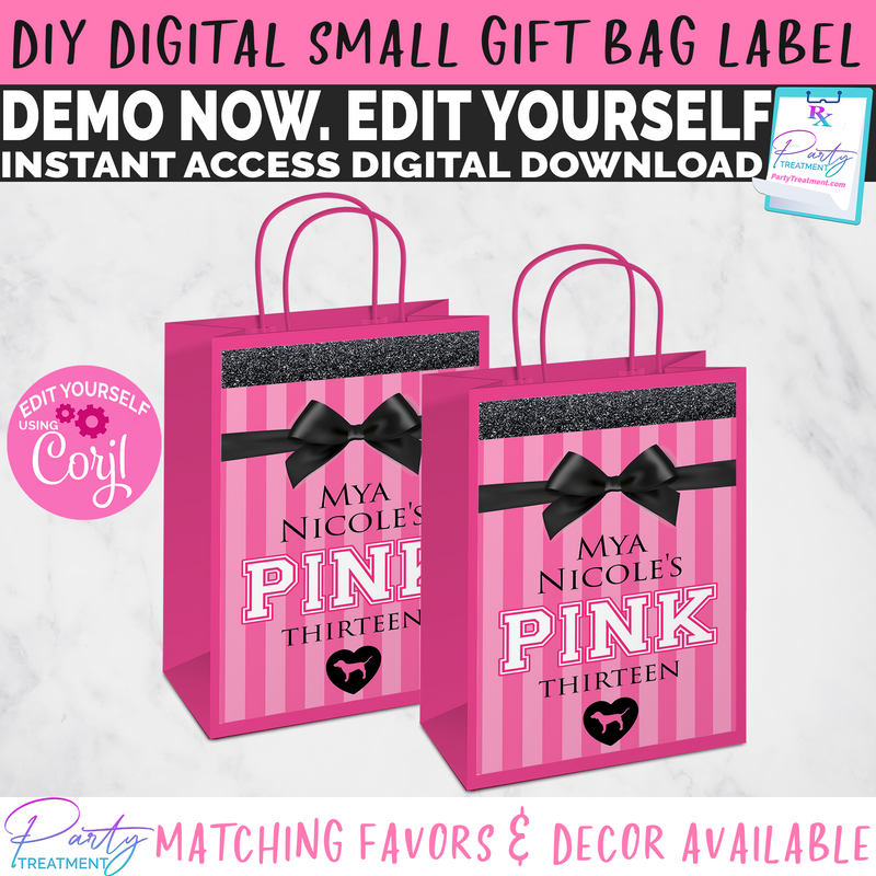 Victoria Secret Pink Sweet 16 Gift Bag Label-vs Pink 